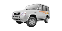 sumo